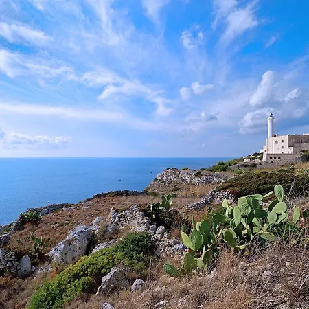 Salento Ada Pensión